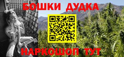 МДПВ Лесосибирск