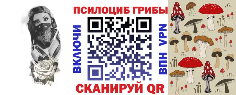 Псилоцибиновые грибы Cubensis  Алапаевск 