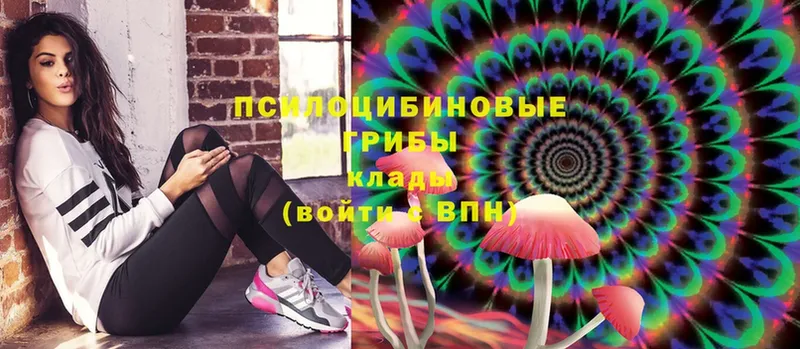 Галлюциногенные грибы Magic Shrooms Алапаевск