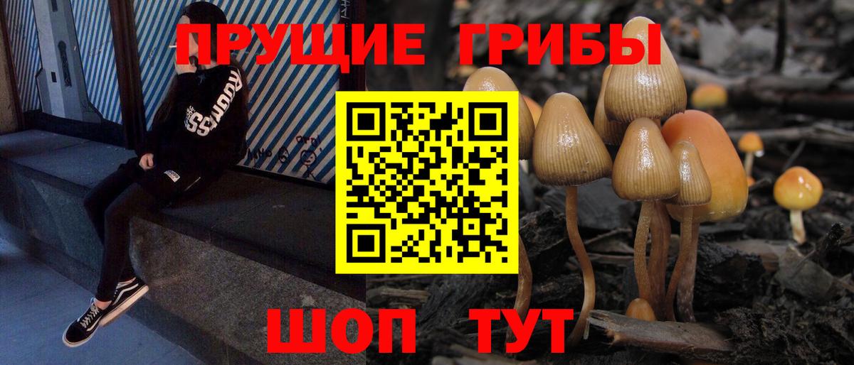 Галлюциногенные грибы мухоморы  Псилоцибиновые грибы GOLDEN TEACHER  Алапаевск  Вход с VPN 